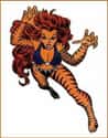 Tigra on Stunning Female Comic Book Characters