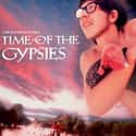 Time of the Gypsies on Random Most Powerful Movies About Racism
