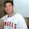 Tim Salmon on Random Best Los Angeles Angels of Anaheim
