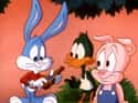 Tiny Toon Adventures on Random Kids' Shows That Proved Surprisingly Controversial