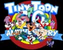 Tiny Toon Adventures on Random Very Best Cartoon TV Shows