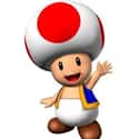 Toad on Random Characters You Most Want To See In Super Smash Bros Switch