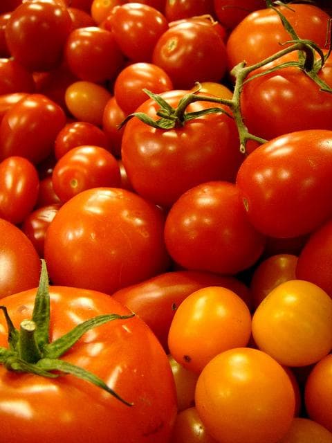 Tomato