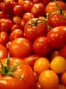 Tomato on Random Most Historically Important Foodstuffs