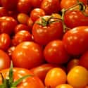 Tomato on Random Most Historically Important Foodstuffs