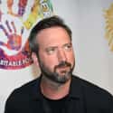 The Tom Green Show, Subway Monkey Hour, Tom Green: Something Smells Funny