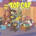 Leo DeLyon, Allen Jenkins, Arnold Stang   Top Cat is an animated television series made by the Hanna-Barbera studios which ran from September 27, 1961 to April 18, 1962 for a run of 30 episodes on the ABC network.