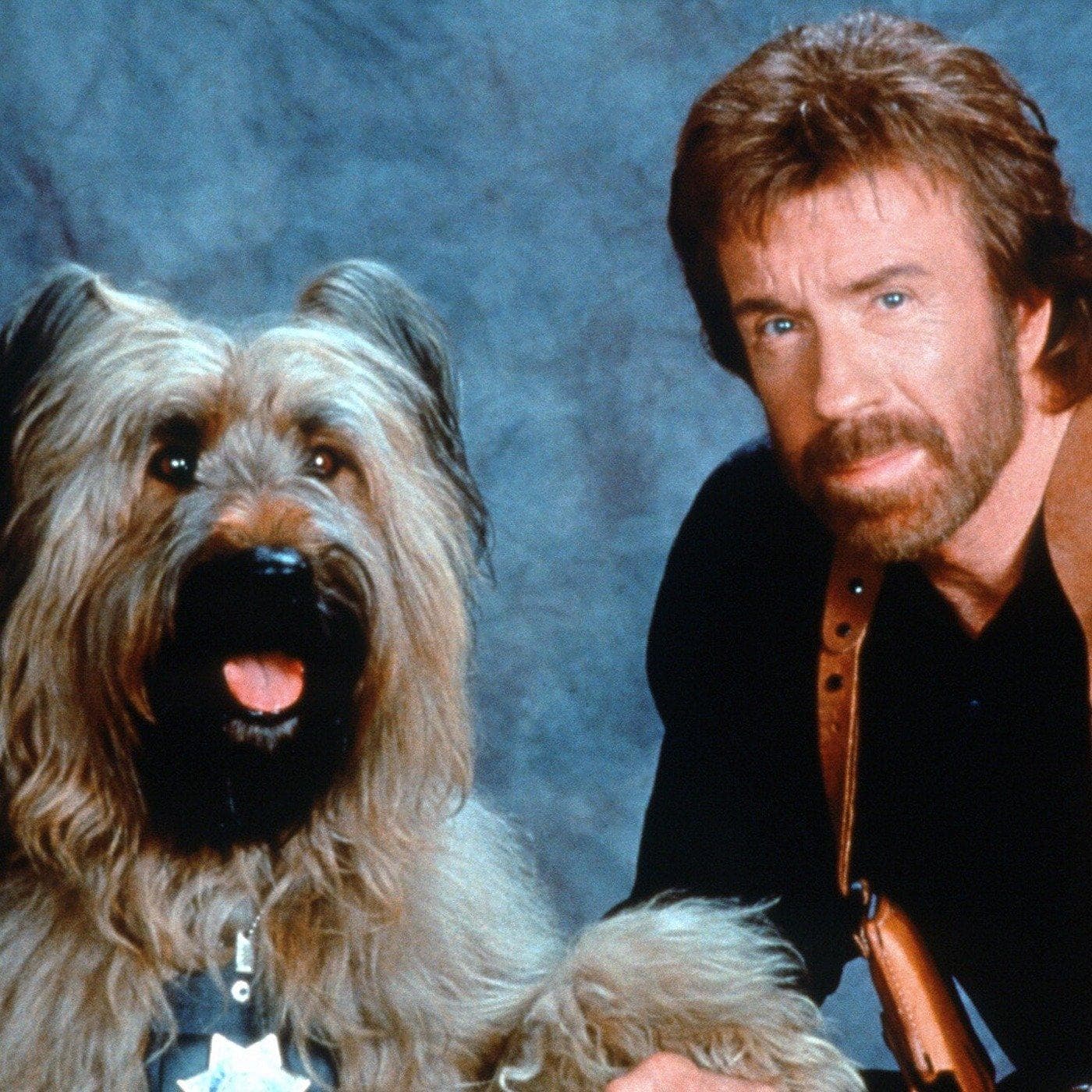 15 Paw-some Buddy Cop Films to Watch If You Loved 'K-9'