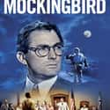 1962   To Kill a Mockingbird is a 1962 American drama film directed by Robert Mulligan.