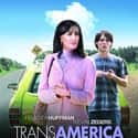 Transamerica on Random Best Transgender Movies