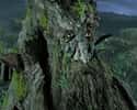 Treebeard on Random Coolest Characters in Middle-Earth