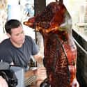 Extreme Cuisine with Jeff Corwin on Random Best Travel Documentary TV Shows