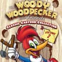The Woody Woodpecker Show on Random Best 1960s Animated Series