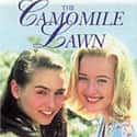 The Camomile Lawn on Randm Greatest TV Shows Set in the '80s