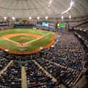 Tropicana Field on Random Best MLB Ballparks