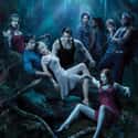 True Blood on Random Best Vampire TV Shows