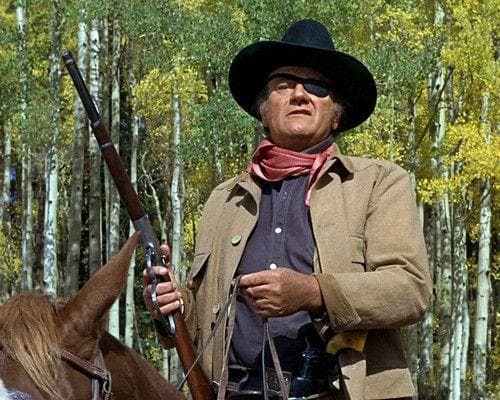 Best Wild West Movies That Are More Fun Than Going Out, Ranked