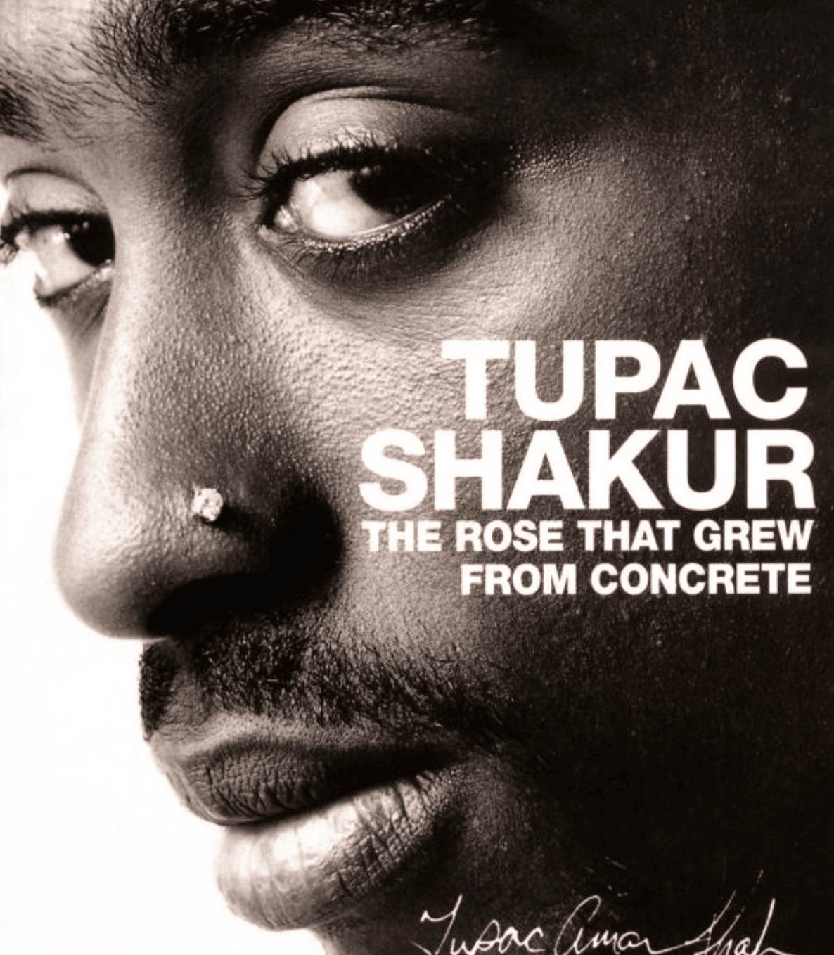 The 40+ Most Famous Geminis, Ranked by Fans