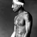 Hip hop music, Political hip hop, Gangsta rap   See: The Best Tupac Shakur Songs 