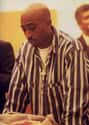 Tupac Shakur on Random Celebrities Accused of Horrible Crimes
