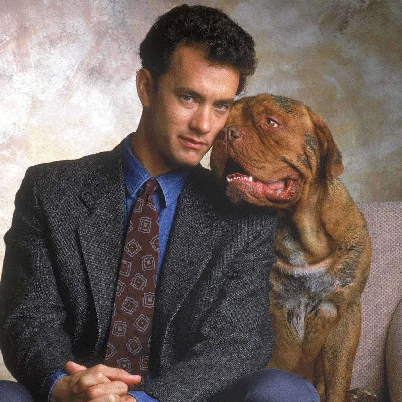 The 15 Best Dog Movies That Make You Cry