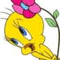 Tweety is listed (or ranked) 4 on the list The Best Bird Characters In Cartoons And Comics