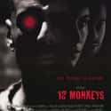 12 Monkeys on Random Scariest Sci-Fi Movies Rated R