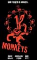 12 Monkeys on Random Best Thriller Movies of 1990s
