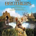 Two Brothers on Random Best Cat Movies
