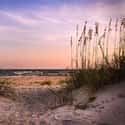 Tybee Island on Random Best Beaches in the South