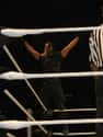 Seth Rollins on Random WWE's Greatest Superstars of 21st Century