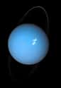 Uranus on Random Best Planets in the Solar System