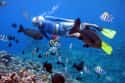 Vanuatu on Random Best Countries for Scuba Diving