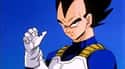 Vegeta on Random Dragon Ball Character You Are, According To Your Zodiac Sign