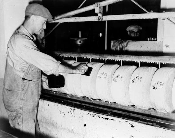 Interesting Facts You Never Knew About Cheese