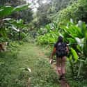 Venezuela on Random Best Countries for Hiking