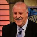 Vicente del Bosque on Random Best Football Managers