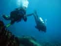 Vietnam on Random Best Countries for Scuba Diving