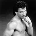 Lightweight, Light middleweight   Vinny Paz, formerly Vinny Pazienza is a former American boxer and world champion in the lightweight and light middleweight weight classes.