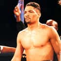 Cruiserweight   Virgil Eugene Hill is a Hall of Fame American boxer of partly Native American heritage, who forged a solid connection between the state of North Dakota and the sport of boxing.