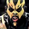 Goldust on Random Best Wrestlers Who Have Signed With AEW