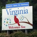 Virginia on Random Common Slang Terms & Phrases From Every State