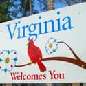 Virginia on Random Bizarre State Laws