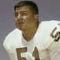 Wahoo McDaniel is listed (or ranked) 47 on the list The Best Denver Broncos Linebackers of All Time