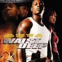 Waist Deep on Random Best Black Action Movies