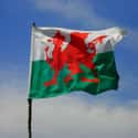 Wales on Random Coolest-Looking National Flags in the World