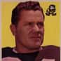 Walt Michaels is listed (or ranked) 27 on the list The Best Cleveland Browns Linebackers of All Time