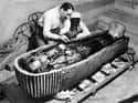 The Curse of King Tut on Random Creepy Artifacts Uncovered By Archaeological Digs