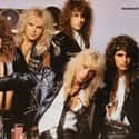 Cherry Pie, Dirty Rotten Filthy Stinking Rich, Dog Eat Dog   Warrant is an American glam metal band formed in 1984 in Hollywood, California, that experienced success from 1982–1996 with five albums reaching international sales of over 10 million.