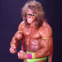 The Ultimate Warrior on Random Best WWE Superstars of '90s